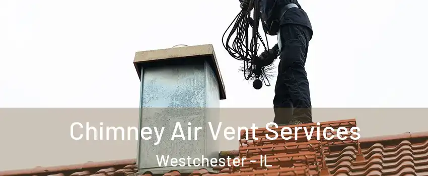 Chimney Air Vent Services Westchester - IL