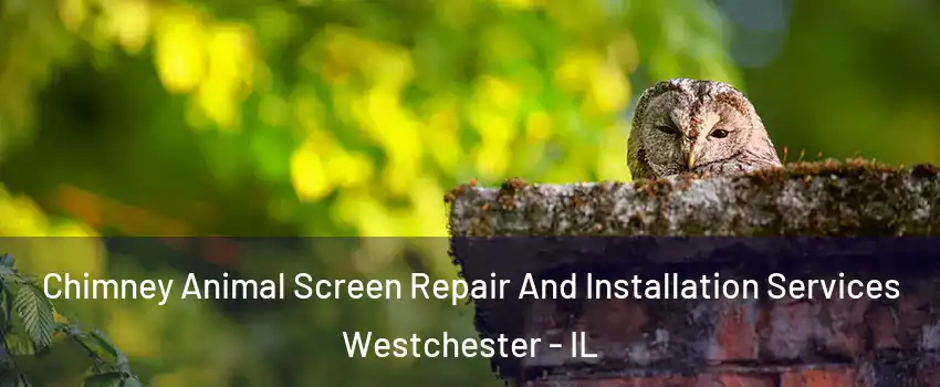 Chimney Animal Screen Repair And Installation Services Westchester - IL