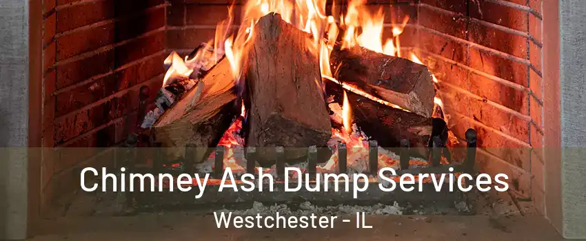 Chimney Ash Dump Services Westchester - IL