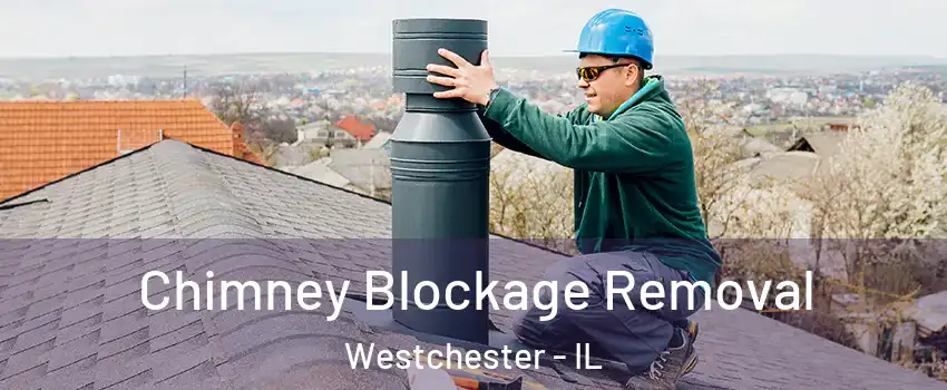  Chimney Blockage Removal Westchester - IL