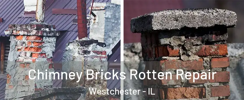 Chimney Bricks Rotten Repair Westchester - IL