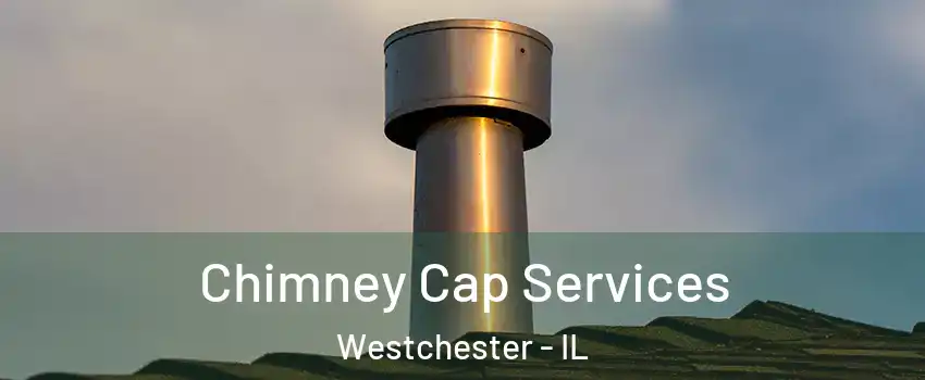Chimney Cap Services Westchester - IL