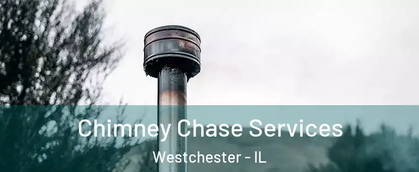  Chimney Chase Services Westchester - IL