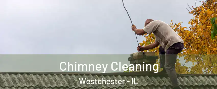  Chimney Cleaning Westchester - IL