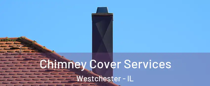 Chimney Cover Services Westchester - IL