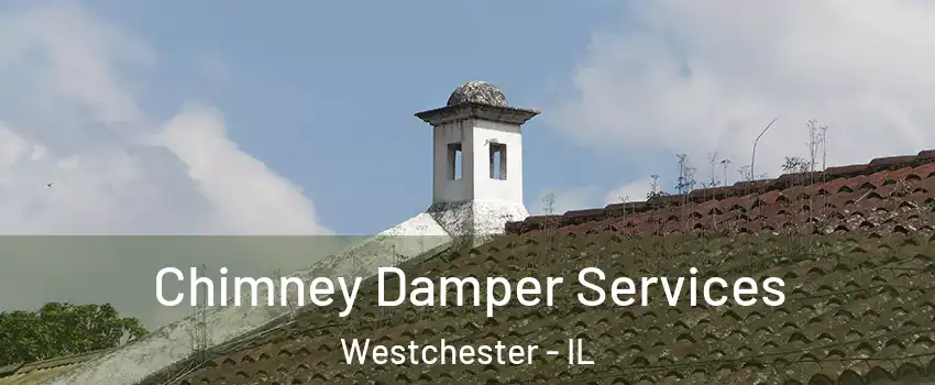  Chimney Damper Services Westchester - IL