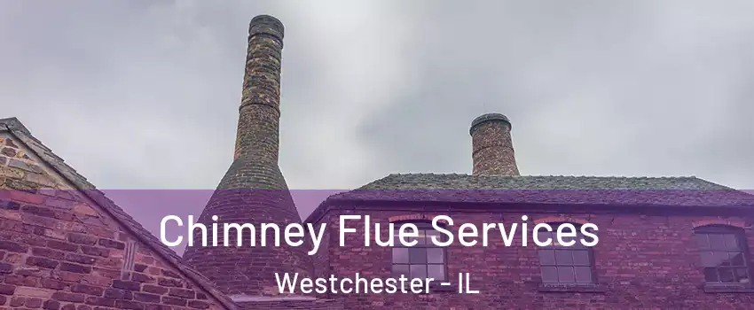  Chimney Flue Services Westchester - IL