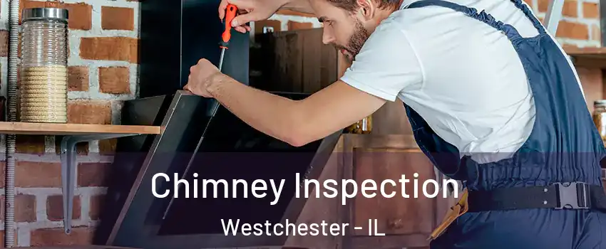  Chimney Inspection Westchester - IL
