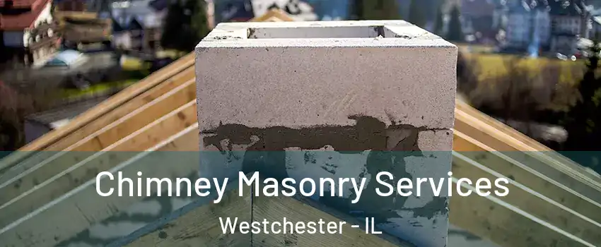 Chimney Masonry Services Westchester - IL