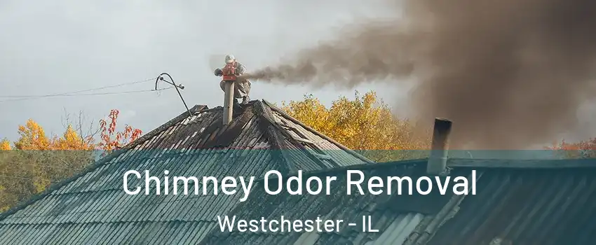 Chimney Odor Removal Westchester - IL