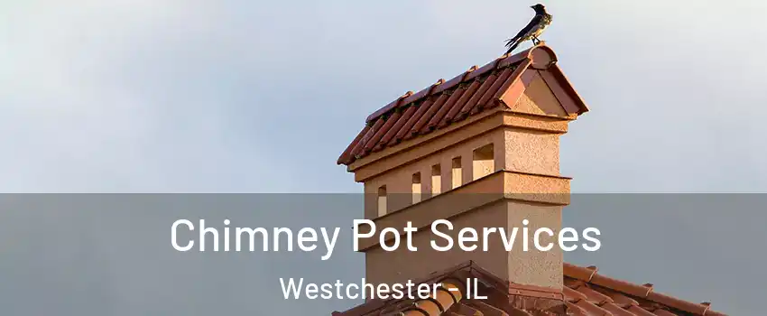 Chimney Pot Services Westchester - IL
