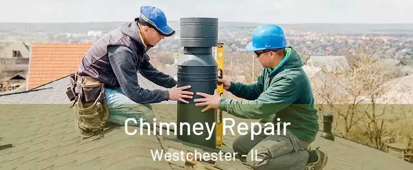 Chimney Repair Westchester - IL