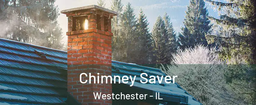  Chimney Saver Westchester - IL