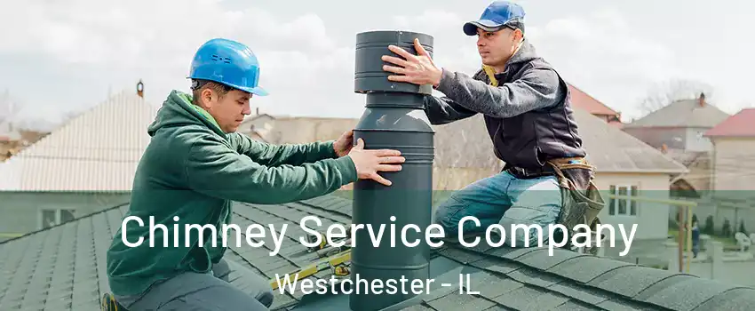  Chimney Service Company Westchester - IL