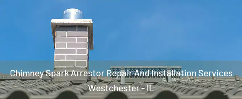  Chimney Spark Arrestor Repair And Installation Services Westchester - IL