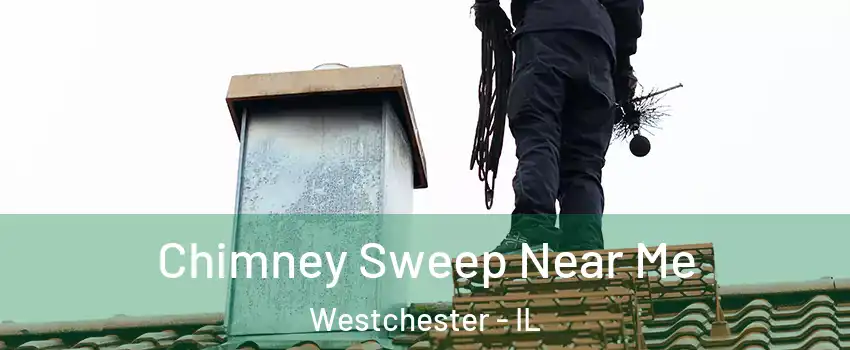  Chimney Sweep Near Me Westchester - IL