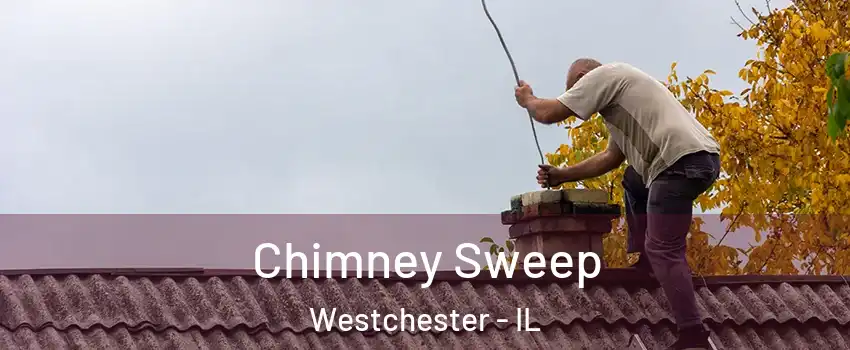  Chimney Sweep Westchester - IL
