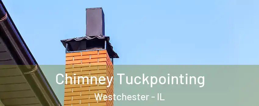 Chimney Tuckpointing Westchester - IL