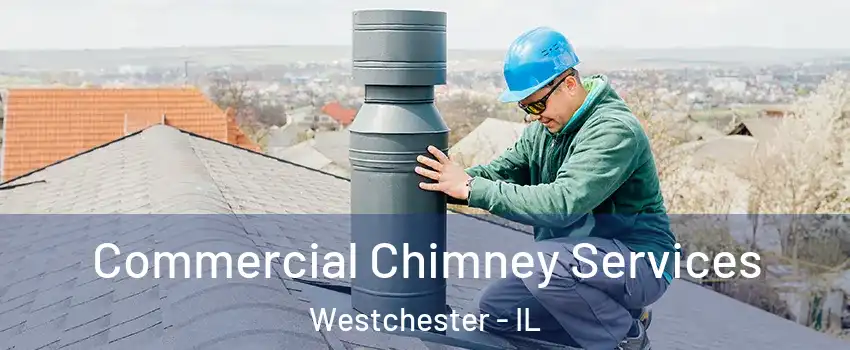 Commercial Chimney Services Westchester - IL