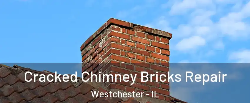  Cracked Chimney Bricks Repair Westchester - IL