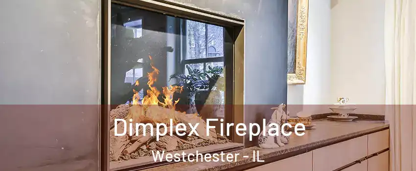  Dimplex Fireplace Westchester - IL