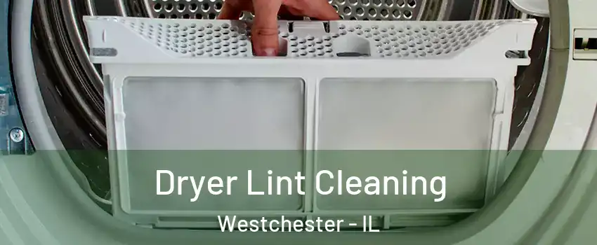  Dryer Lint Cleaning Westchester - IL
