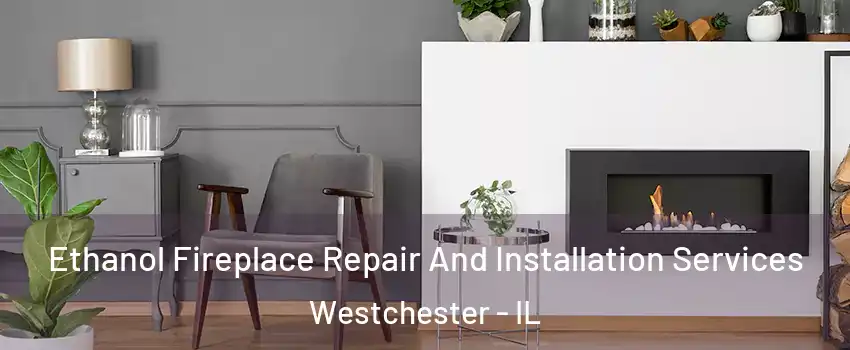 Ethanol Fireplace Repair And Installation Services Westchester - IL