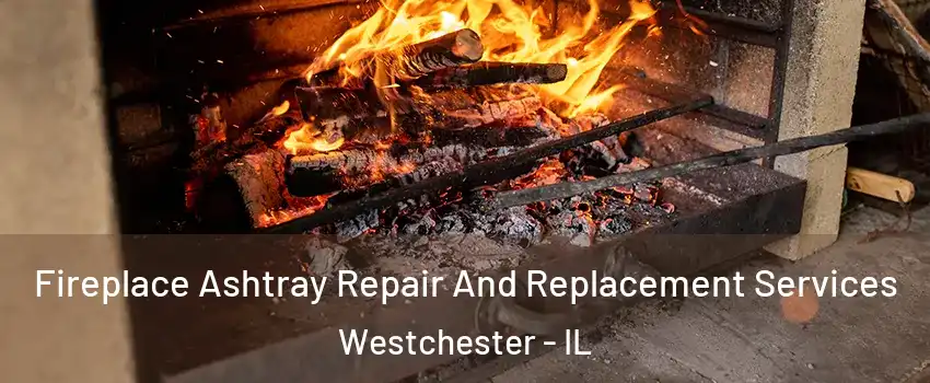 Fireplace Ashtray Repair And Replacement Services Westchester - IL