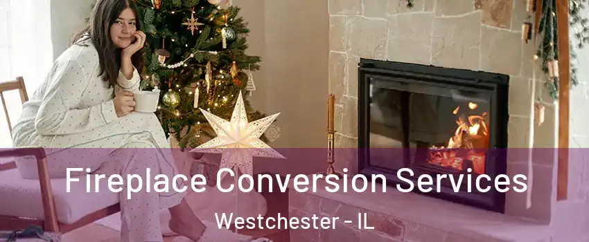  Fireplace Conversion Services Westchester - IL