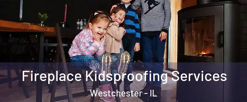  Fireplace Kidsproofing Services Westchester - IL