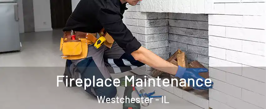  Fireplace Maintenance Westchester - IL