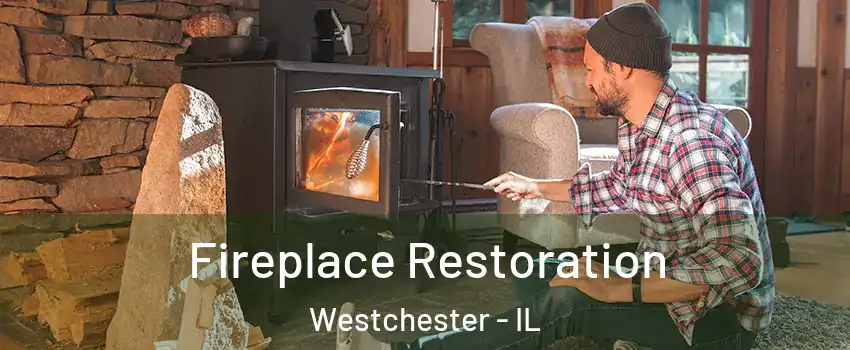  Fireplace Restoration Westchester - IL
