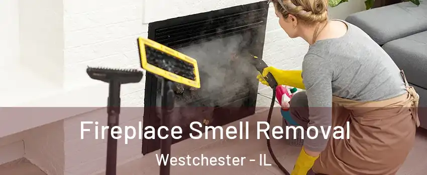  Fireplace Smell Removal Westchester - IL