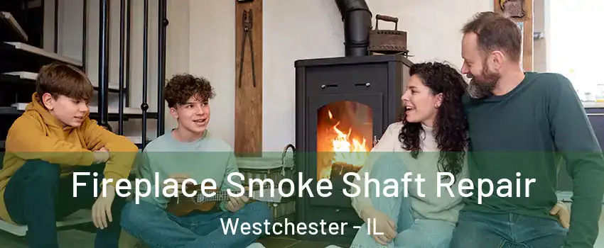 Fireplace Smoke Shaft Repair Westchester - IL
