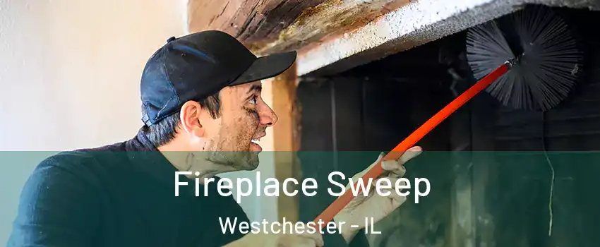  Fireplace Sweep Westchester - IL