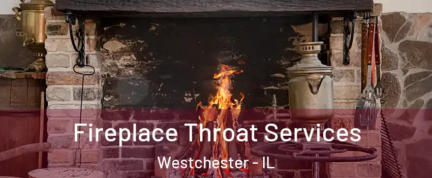 Fireplace Throat Services Westchester - IL