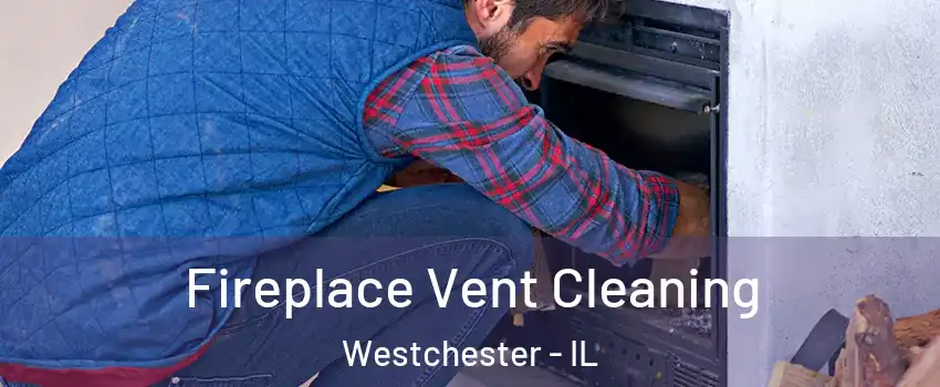 Fireplace Vent Cleaning Westchester - IL