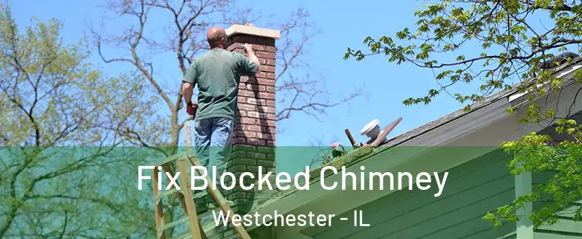  Fix Blocked Chimney Westchester - IL