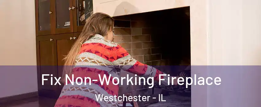  Fix Non-Working Fireplace Westchester - IL