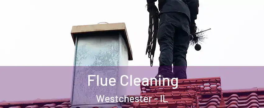  Flue Cleaning Westchester - IL