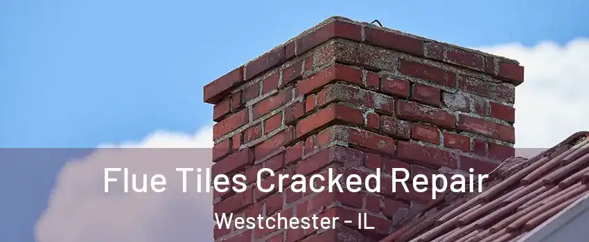 Flue Tiles Cracked Repair Westchester - IL