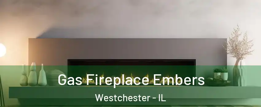  Gas Fireplace Embers Westchester - IL