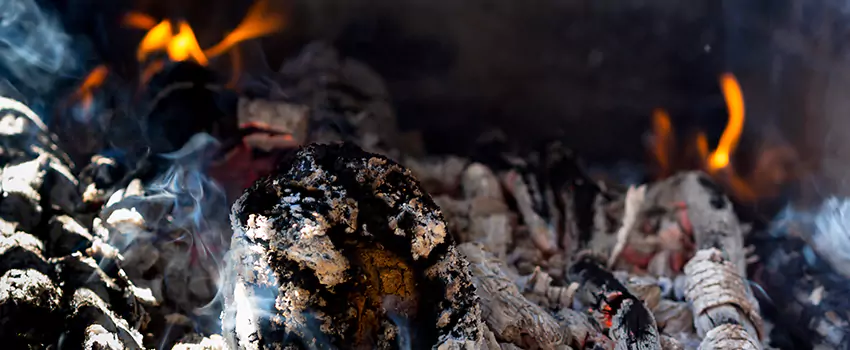 Creosote Removal Experts in Westchester, IL