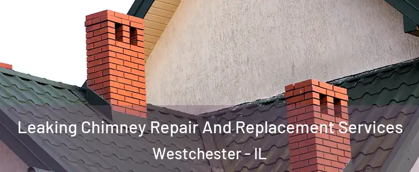 Leaking Chimney Repair And Replacement Services Westchester - IL