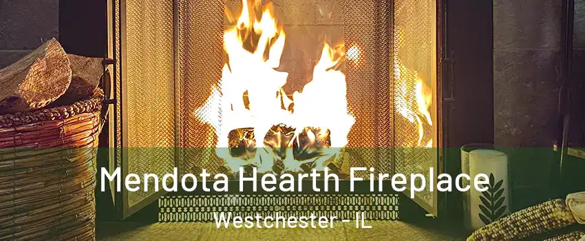  Mendota Hearth Fireplace Westchester - IL