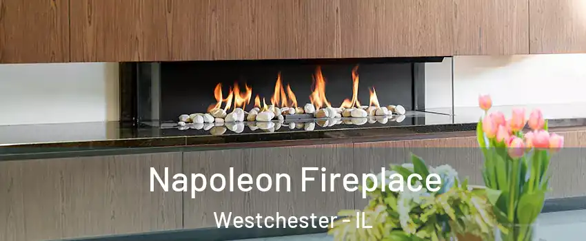  Napoleon Fireplace Westchester - IL