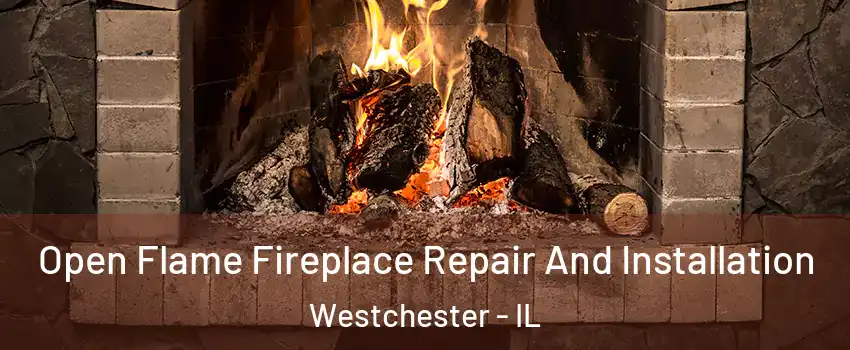  Open Flame Fireplace Repair And Installation Westchester - IL