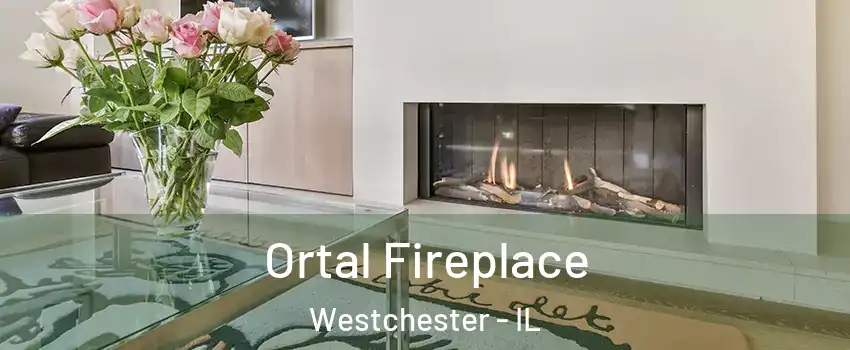  Ortal Fireplace Westchester - IL
