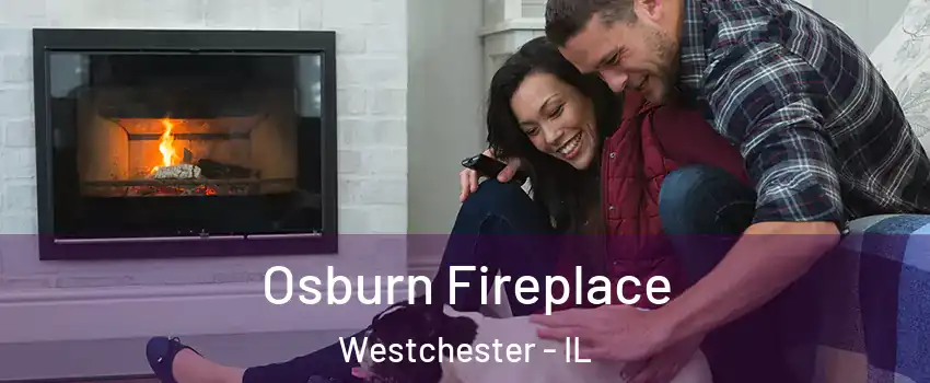  Osburn Fireplace Westchester - IL