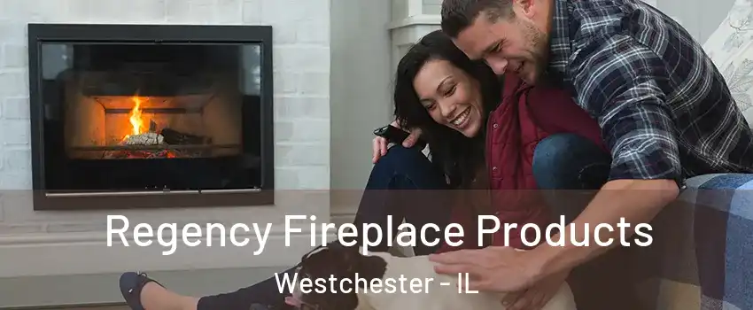  Regency Fireplace Products Westchester - IL